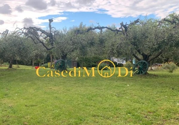 terreno agricolo in vendita a Livorno in zona Padula