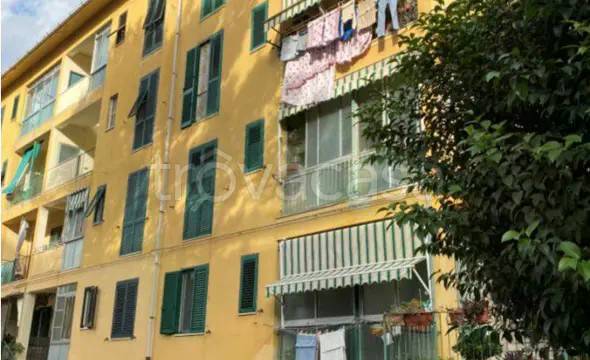appartamento in vendita a Livorno