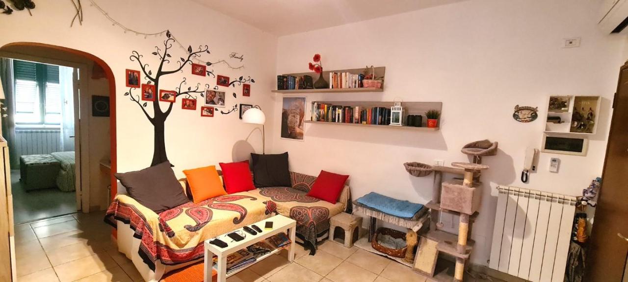 appartamento in vendita a Livorno