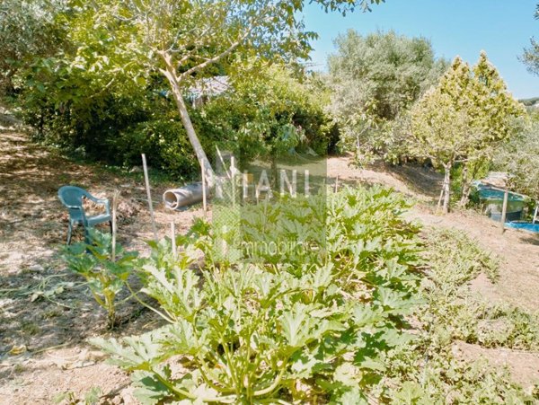 terreno agricolo in vendita a Livorno in zona Stillo