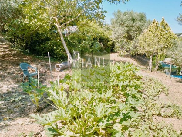 terreno agricolo in vendita a Livorno in zona La Leccia