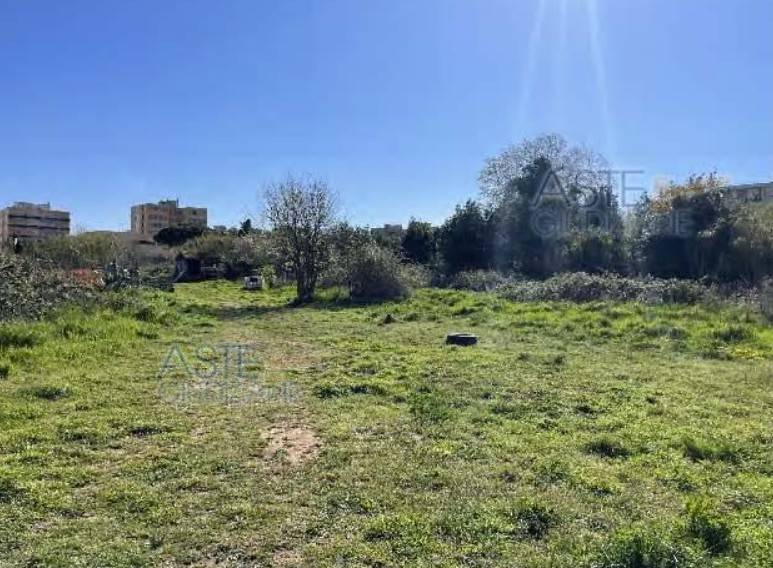 terreno agricolo in vendita a Livorno