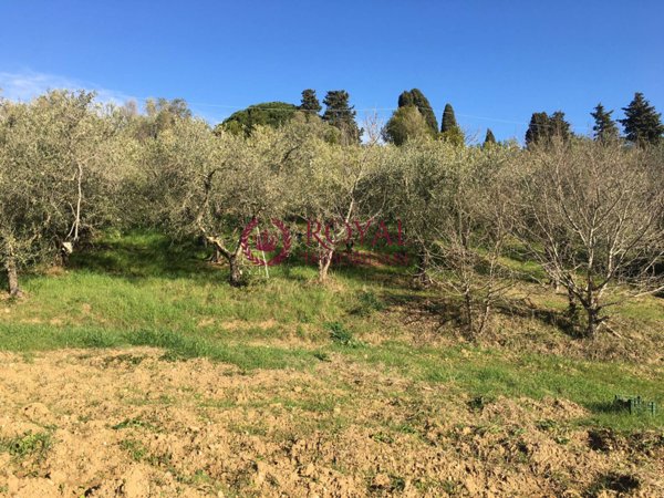 terreno agricolo in vendita a Livorno