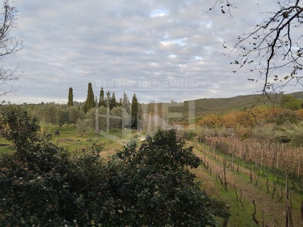 terreno agricolo in vendita a Livorno
