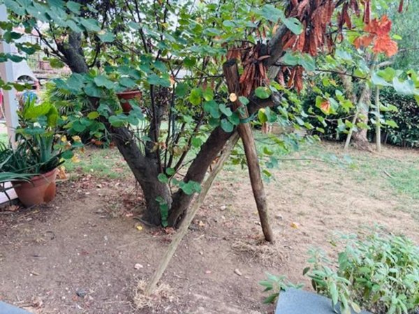 casa indipendente in vendita a Livorno in zona Montenero