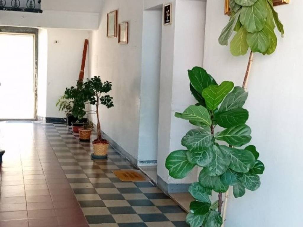 appartamento in vendita a Livorno