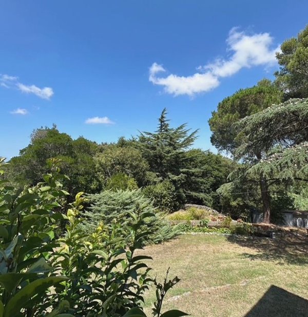 casa indipendente in vendita a Livorno