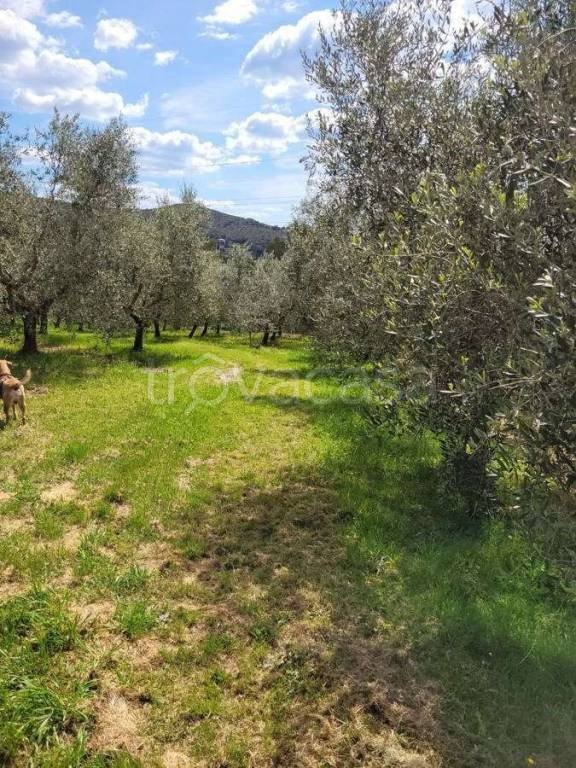terreno agricolo in vendita a Livorno in zona Limoncino