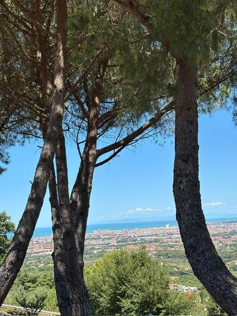 appartamento in vendita a Livorno in zona Limoncino