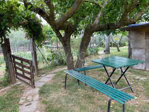 terreno agricolo in vendita a Livorno in zona Padula