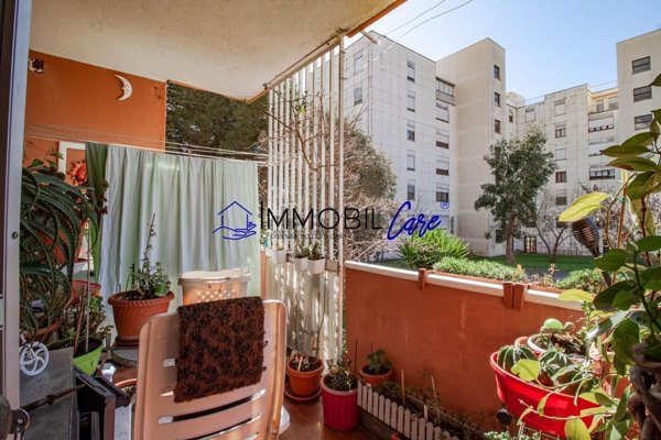 appartamento in vendita a Livorno in zona Collinaia