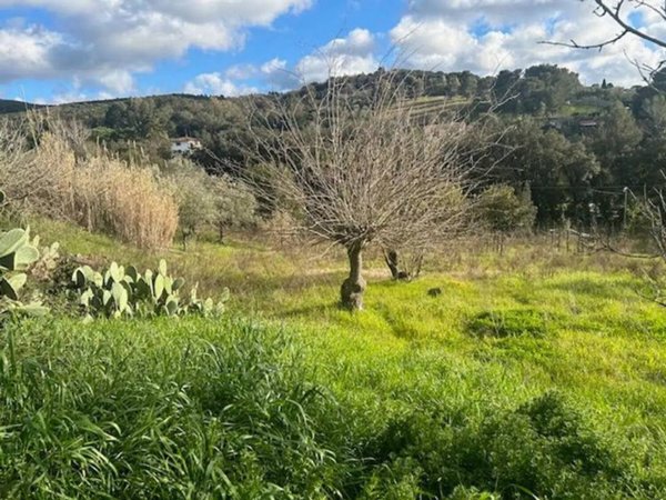 terreno agricolo in vendita a Livorno in zona Valle Benedetta