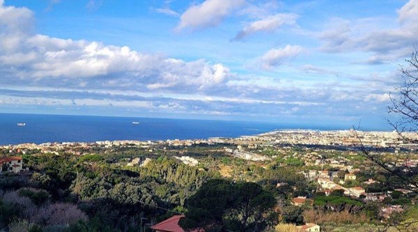 appartamento in vendita a Livorno in zona Limoncino