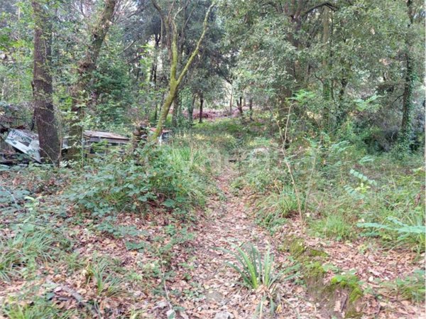 terreno agricolo in vendita a Livorno in zona Valle Benedetta
