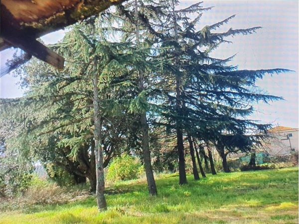 terreno agricolo in vendita a Livorno in zona Limoncino