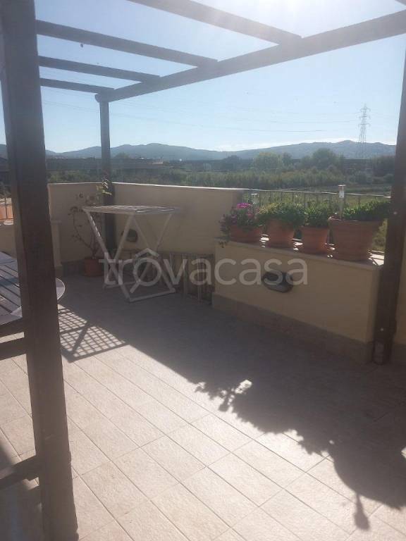 appartamento in vendita a Livorno