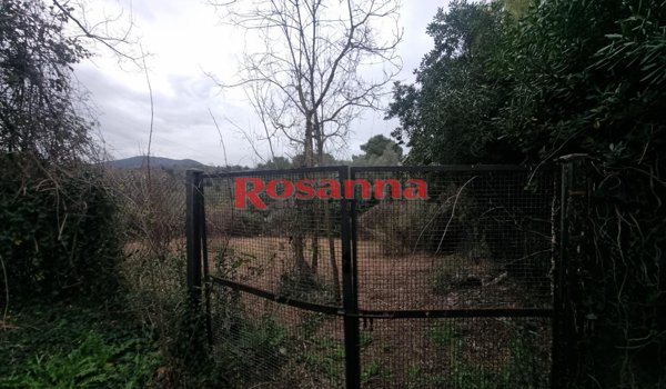 terreno agricolo in vendita a Livorno