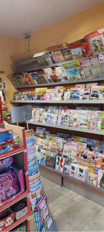 negozio in vendita a Livorno in zona Collinaia