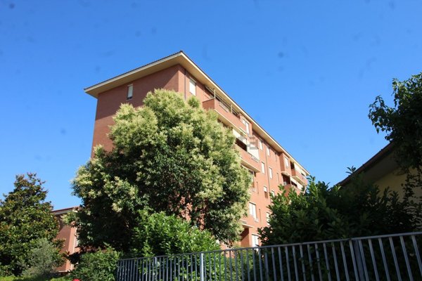 appartamento in vendita a Livorno in zona Ardenza