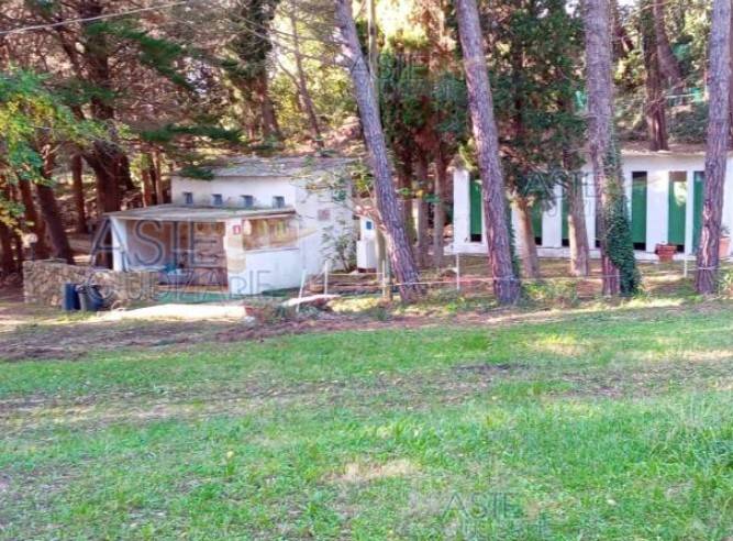 locale commerciale in vendita a Livorno in zona Montenero