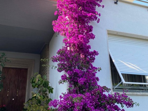 appartamento in vendita a Livorno in zona Ardenza