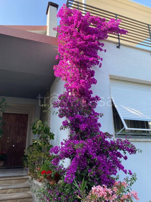 appartamento in vendita a Livorno in zona Ardenza