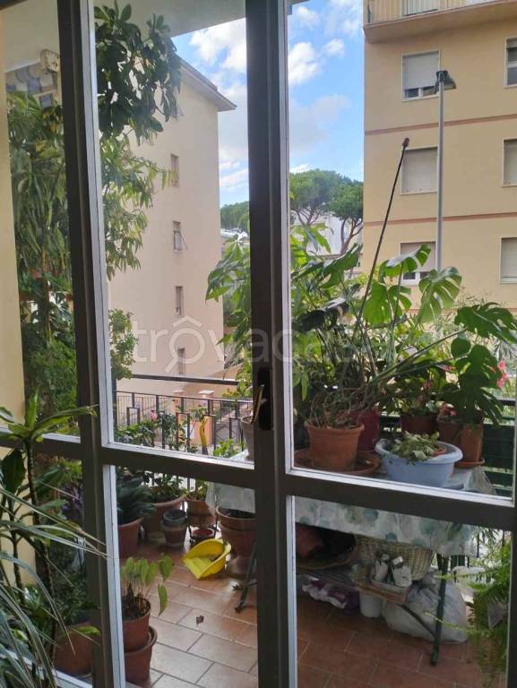 appartamento in vendita a Livorno