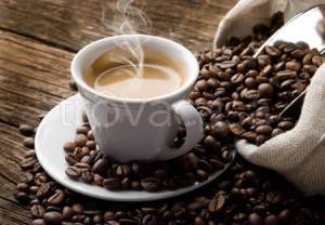 negozio in vendita a Livorno