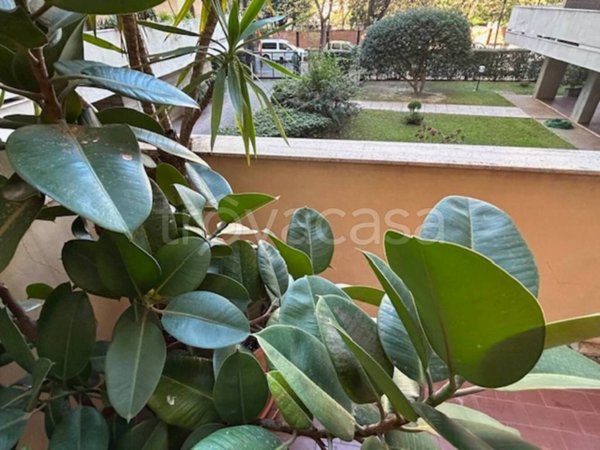 appartamento in vendita a Livorno