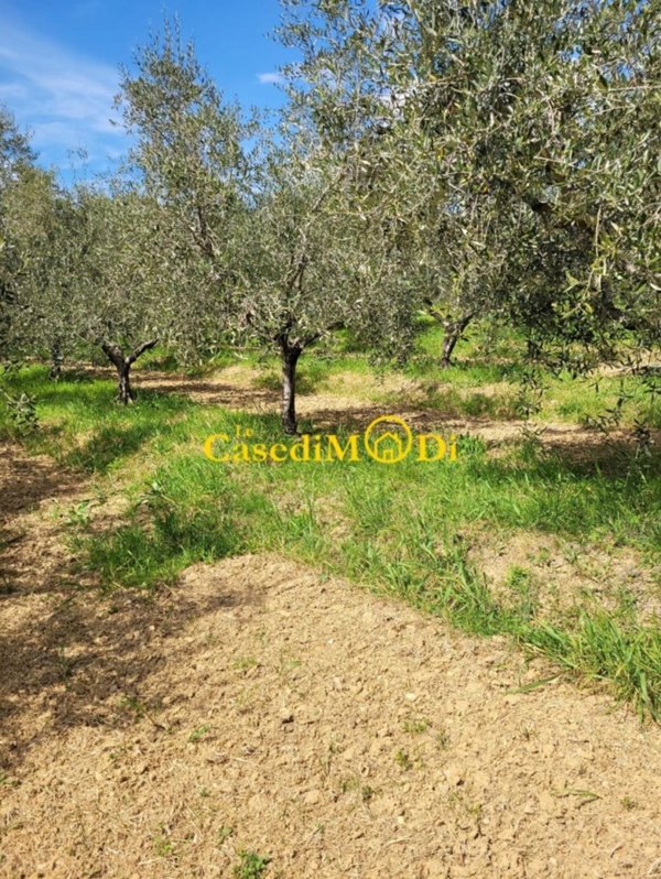 terreno agricolo in vendita a Livorno in zona Limoncino