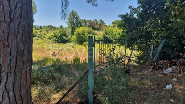 terreno agricolo in vendita a Livorno