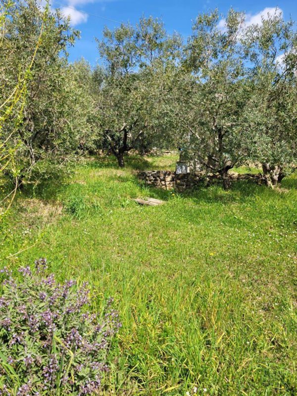 terreno agricolo in vendita a Livorno in zona Stillo