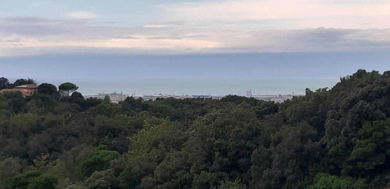 terreno agricolo in vendita a Livorno in zona Limoncino