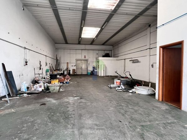 negozio in vendita a Livorno