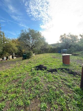 terreno agricolo in vendita a Livorno in zona Limoncino