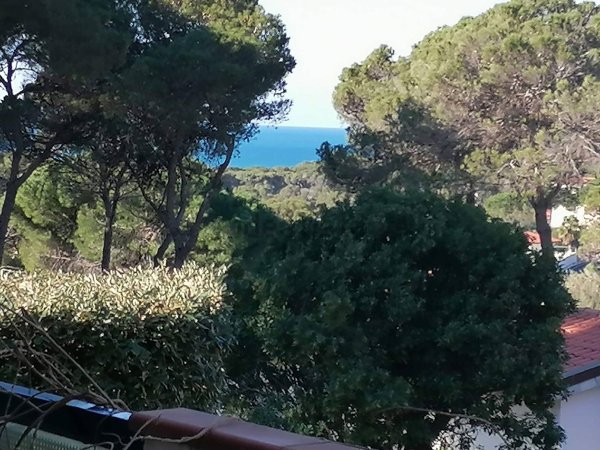 appartamento in vendita a Livorno in zona Quercianella