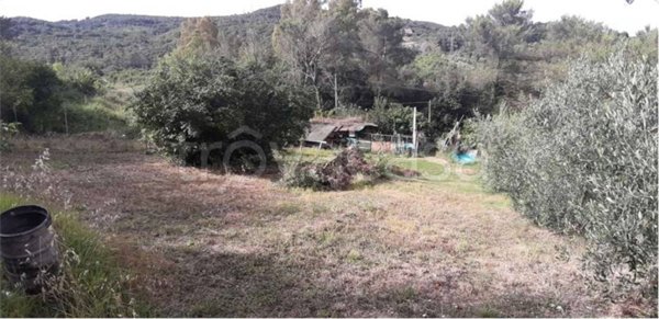 terreno agricolo in vendita a Livorno in zona Limoncino