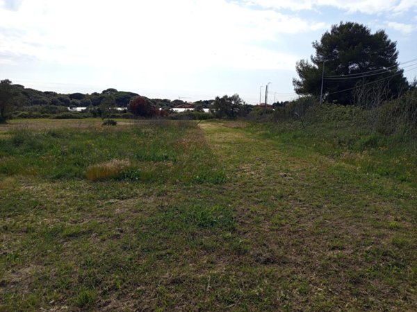 terreno agricolo in vendita a Livorno in zona Limoncino