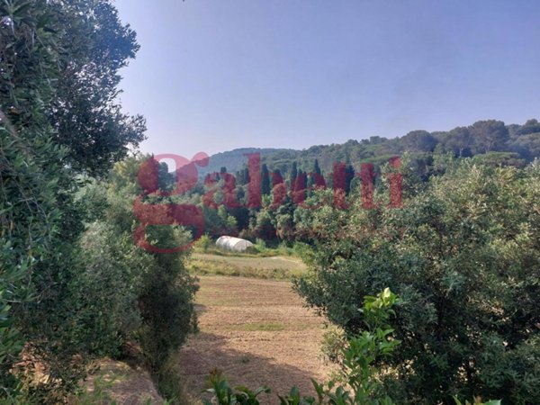 terreno agricolo in vendita a Livorno in zona Limoncino