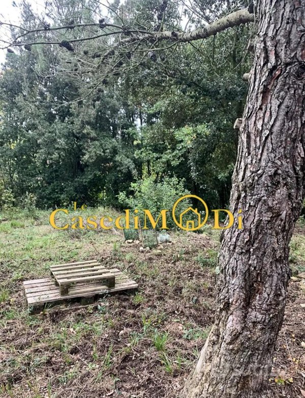 terreno agricolo in vendita a Livorno in zona Castellaccio
