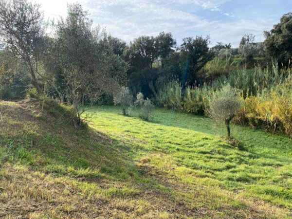 terreno agricolo in vendita a Livorno in zona Limoncino