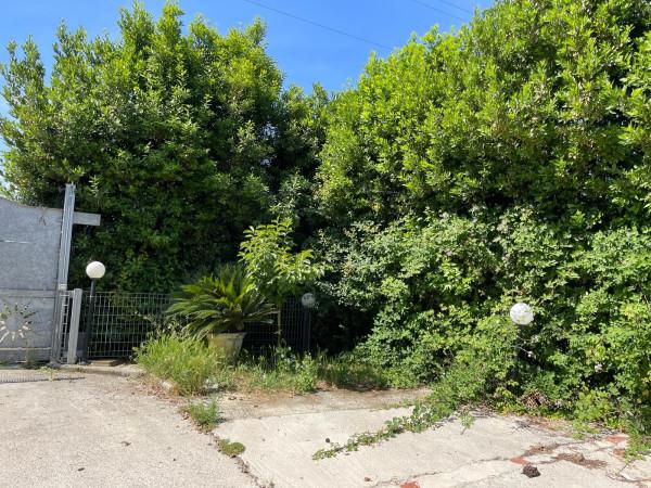 terreno agricolo in vendita a Livorno in zona Limoncino