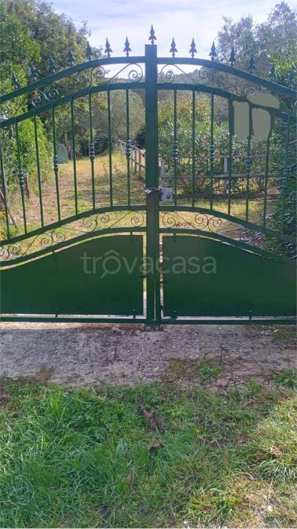 terreno agricolo in vendita a Livorno in zona Collinaia