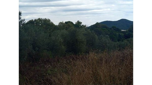 terreno agricolo in vendita a Livorno