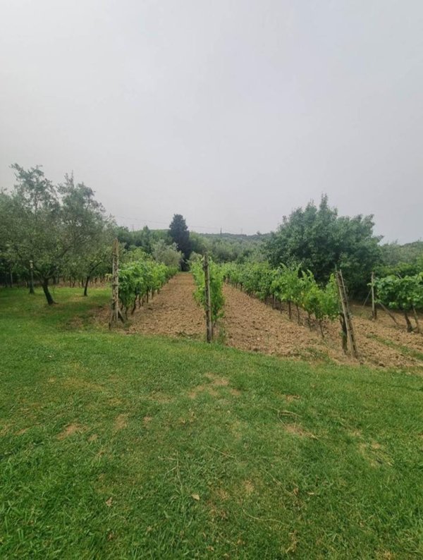 appartamento in vendita a Livorno in zona Limoncino