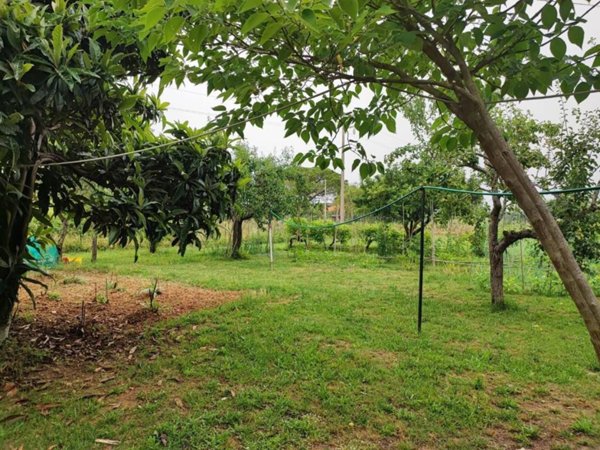 terreno agricolo in vendita a Livorno in zona Centro Città