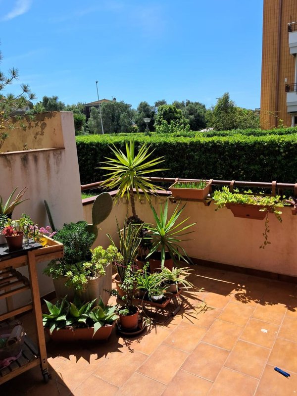 appartamento in vendita a Livorno