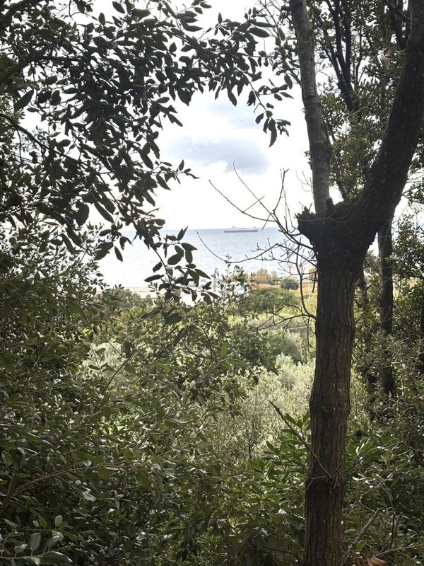 appartamento in vendita a Livorno