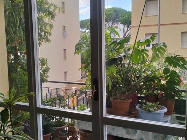 appartamento in vendita a Livorno