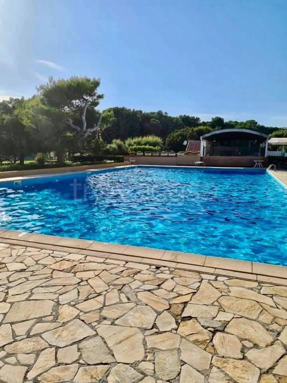 appartamento in vendita a Livorno in zona Quercianella